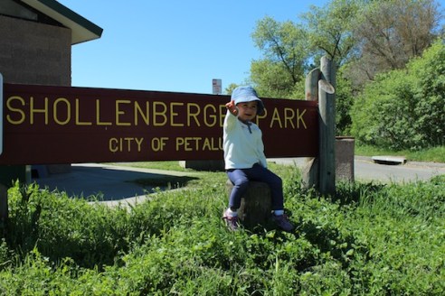 Shollenberger Park entrance