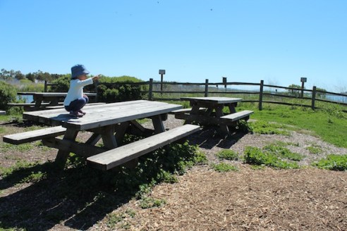 Picnic tables are available, with a nice view of the pond.