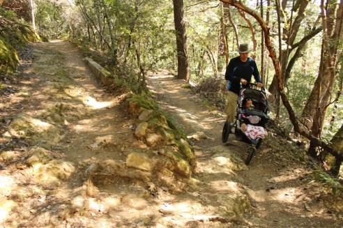 A rocky portion of the trail