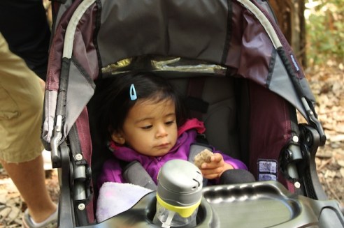 This sedimentary rock calmed Bpoo down, allowing us to resume our hike!