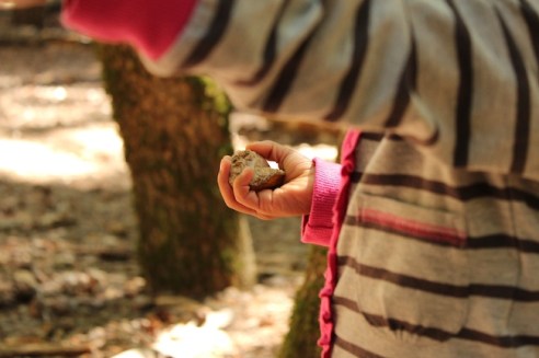 "You're holding a possibly 2.4 million year old rock!"