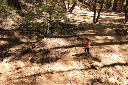 Exploring the site of where Stevenson's cabin used to be.