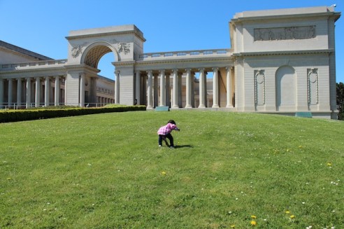 Picking dandelions