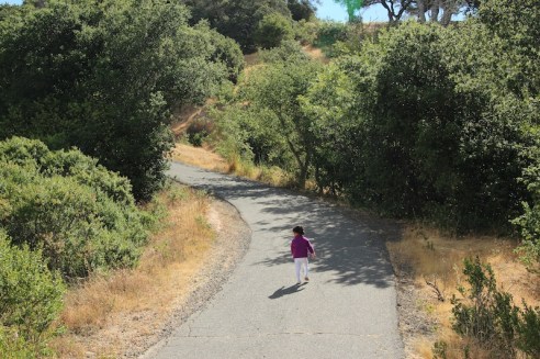 Bethypoo's first incline. Before proceeding, she stopped, stared at me for a second, then took off! 