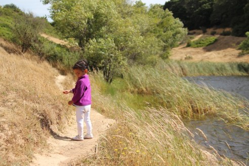 A fly or wasp landed on her shoulder, but flew off before I could intervene.